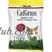 Cat Grass   
